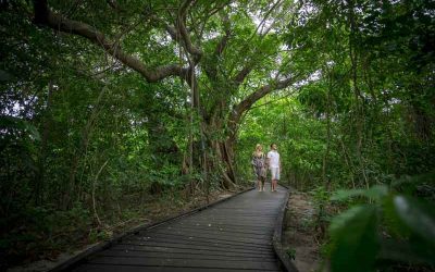 Changes to the Booking.com Travel Sustainable Program 2024