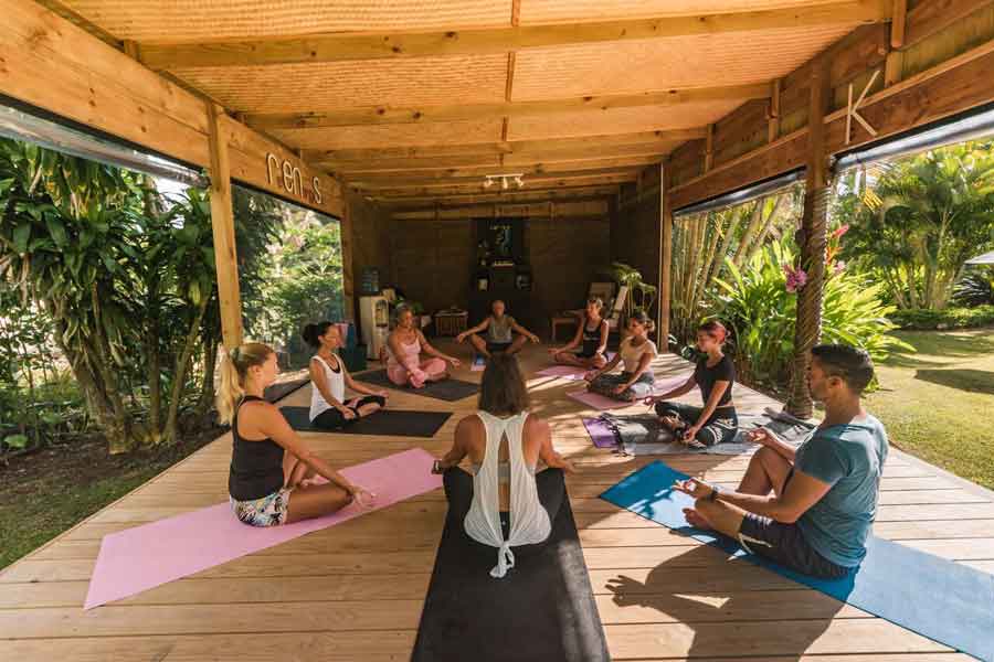Ikurangi-Eco-Retreat-wellness
