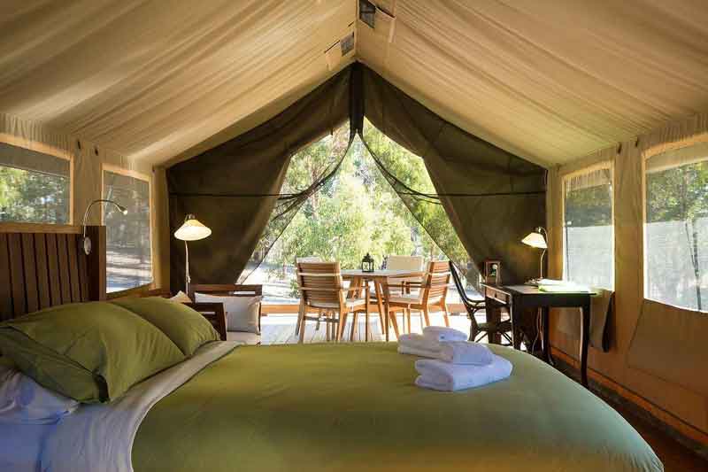 Spicers-Sangoma-Retreat-tent-suite-outlook