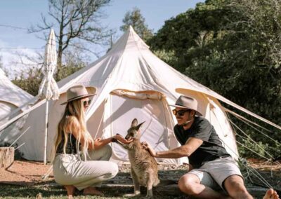 The Cove Glamping, NSW