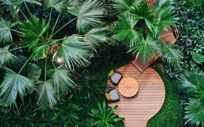 What is the Strive 4 Sustainability Scorecard?