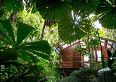 Daintree Wilderness Lodge, Queensland