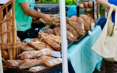 How to take the First Steps towards Sustainability in Tourism